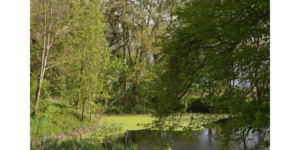 Grundstück Marlow - 399&euro; | Angebot:26549454