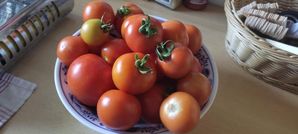 Einfamilienhaus Rostock Alt Bartelsdorf - 2 Zimmer, 36 m&sup2;, 12.500&euro; | Angebot:24582660