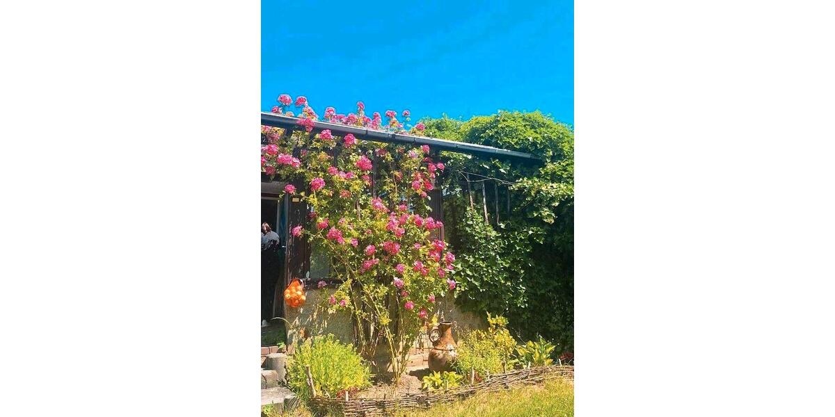 Grundstück Rostock Alt Bartelsdorf - 3.000&euro; | Angebot:26485523