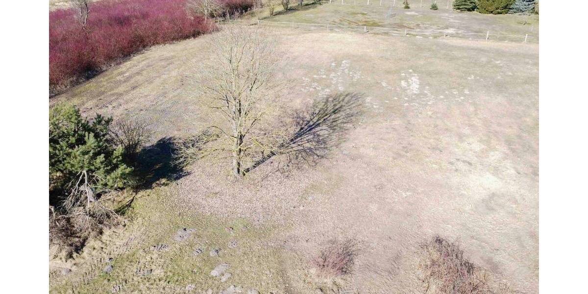 Grundstück Sanitz Wendorf - 122.000&euro; | Angebot:26275631