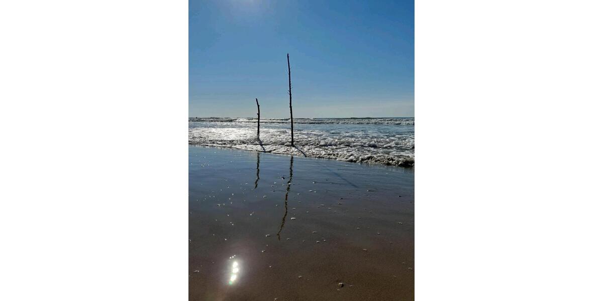 Ferienimmobilie Bad Doberan - 49&euro; | Angebot:25941066