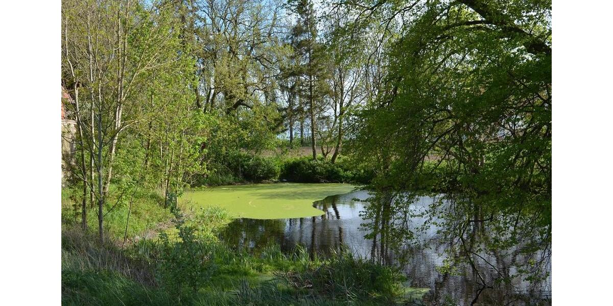 Grundstück Marlow - 399&euro; | Angebot:26549454