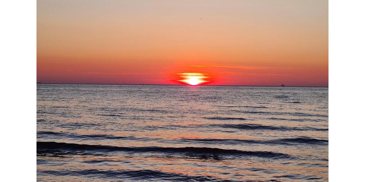 Einfamilienhaus Rostock Alt Bartelsdorf - 2 Zimmer, 36 m&sup2;, 12.500&euro; | Angebot:24582660