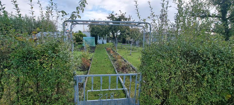 Grundstück Bad Doberan - 3.000&euro; | Angebot:17735227
