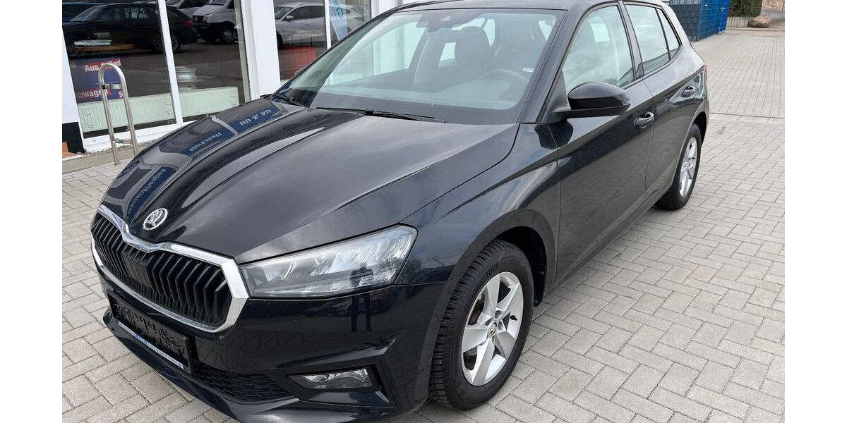 Skoda Fabia 15.319 km 16.490 &euro; Tessin 18195
