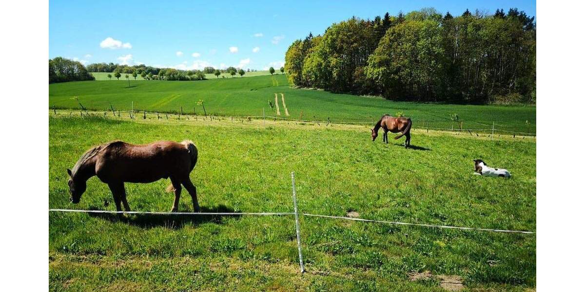 Grundstück Satow Miekenhagen - 295.000&euro; | Angebot:24858497