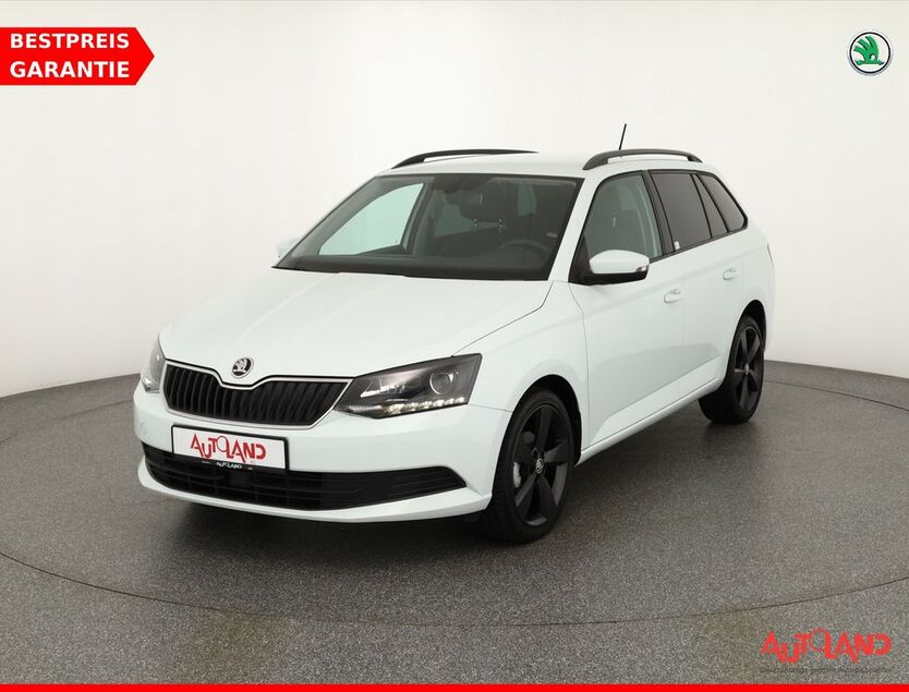 Skoda Fabia 74.176 km 13.950 € Rostock 18146