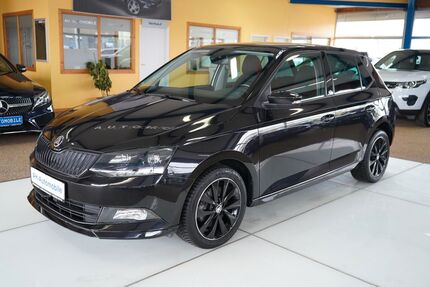 Skoda Fabia 95.000 km 10.580 &euro; Bad Doberan 18209