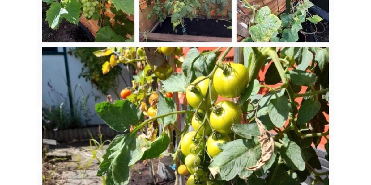 Grundstück Rostock Alt Bartelsdorf - 4.750&euro; | Angebot:26032094