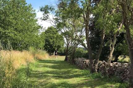 Grundstück zu verkaufen in Brünkendorf 119.000 € 2000 m²