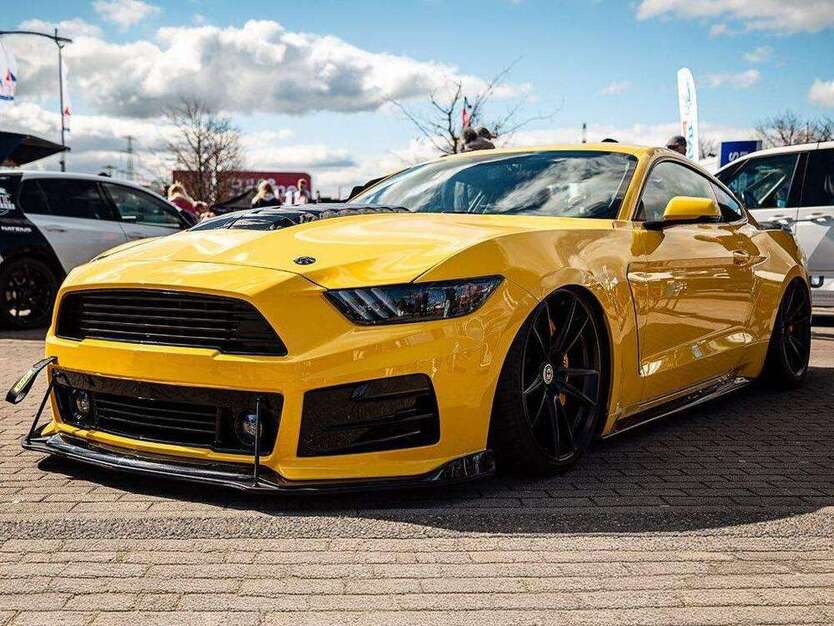 Mustang